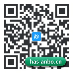 系统版 iOS 二维码